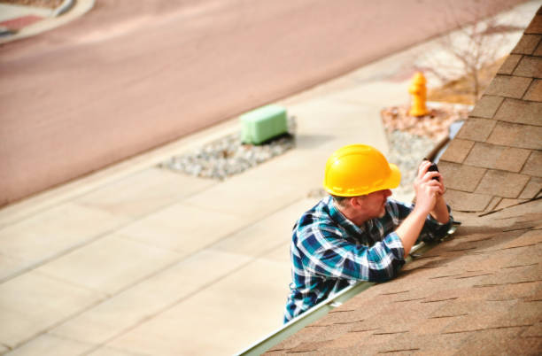 Best Roof Gutter Cleaning  in Ingram, PA